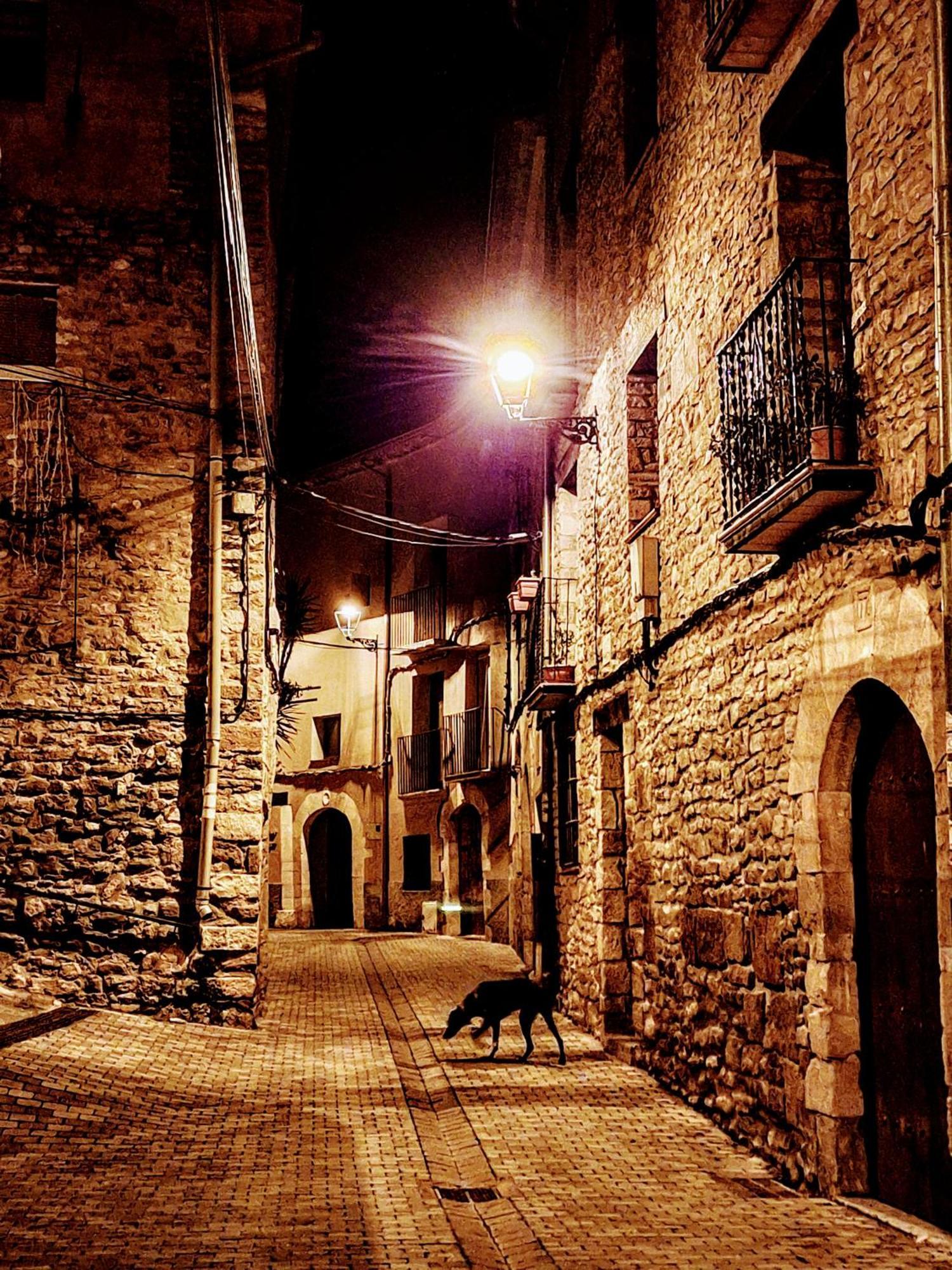 Appartamento Duplex Sant Marti Àger Esterno foto